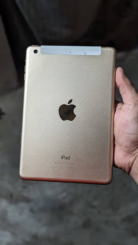 iPad mini 3 1