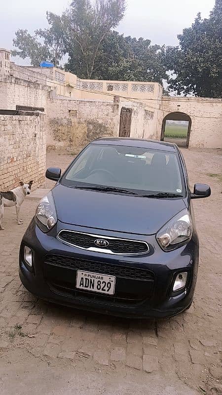 KIA Picanto 2021 0