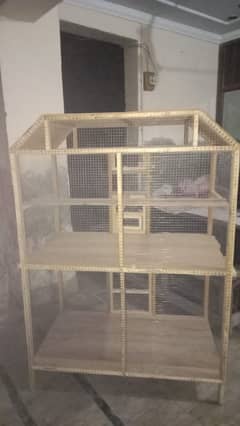 parrot and hen cage