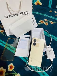 VIVO Y36 Gold 8/256gb