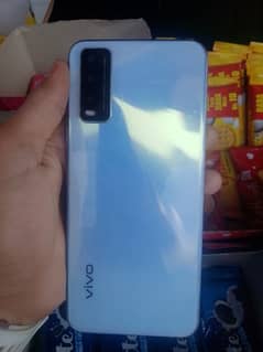 vivo