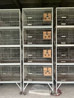 birds cages 4 portion in one cage with breeding boxes