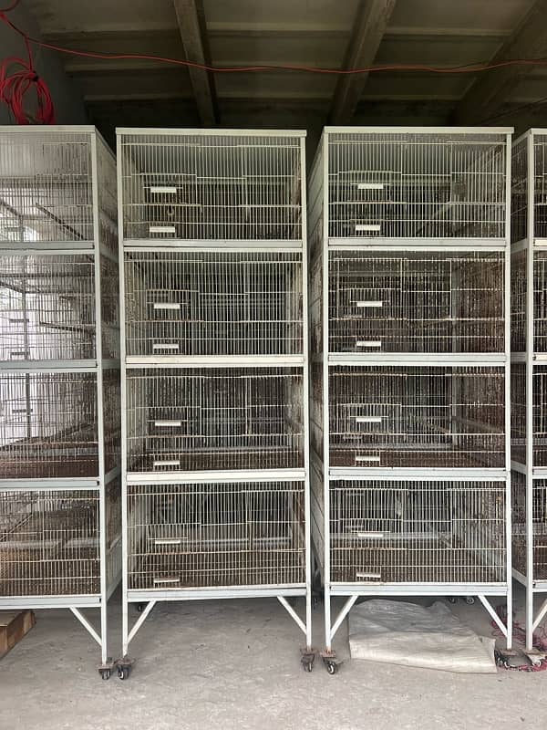 birds cages 4 portion in one cage with breeding boxes 1