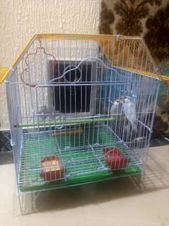 JAVA BIRD PAIR WITH CAGE