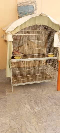 cage ha jaast kay lohay ka bana howa mazboot  new condition