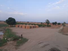 Wheat  Hey( Bhoaray) (Bhosa)