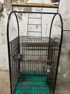 Parrot Cage