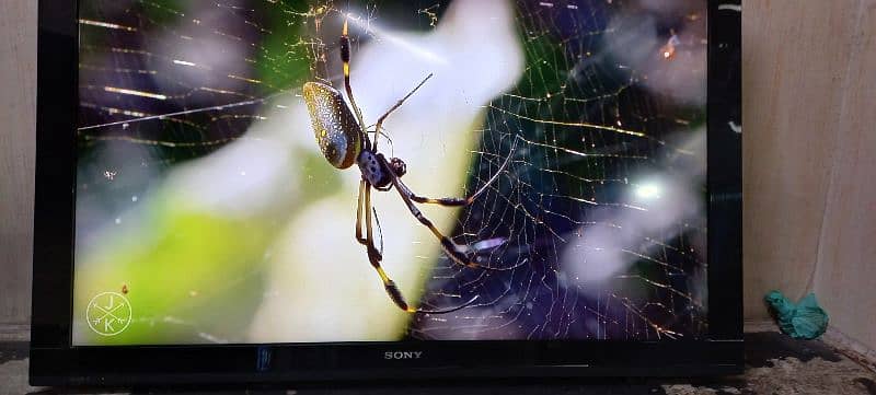 sony bravia 42 inch led tv 4k simple home condition new 03224342554 2