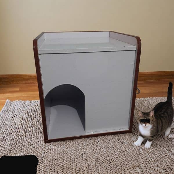 Cat house 4