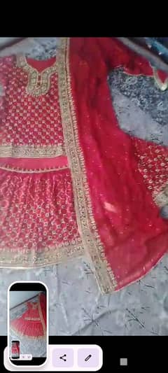 Indian design red colour