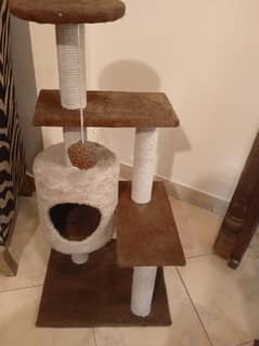 cat house