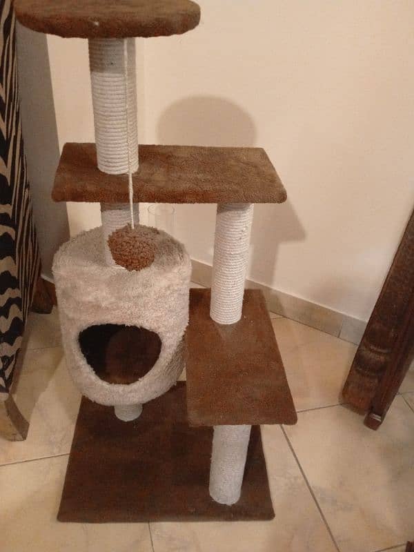 cat house 0