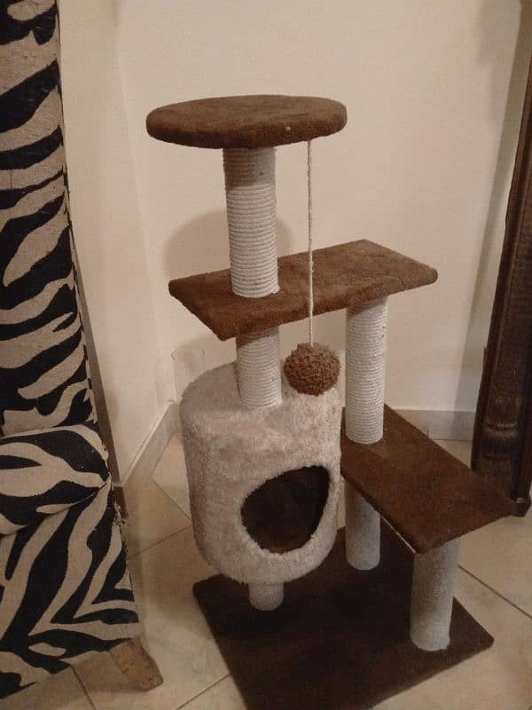 cat house 2