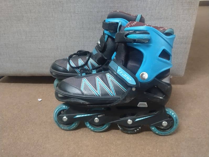 Skating shoes with full kit 0