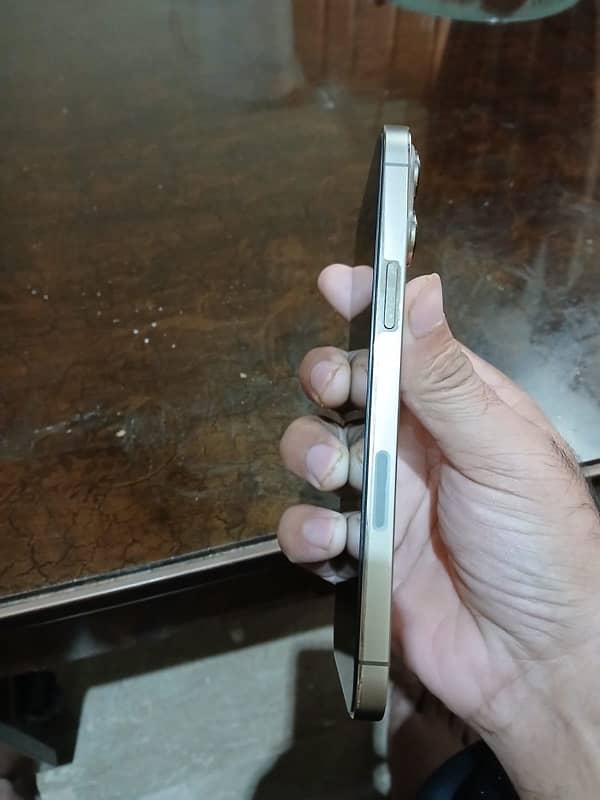 iPhone 13 Pro Max 512 4