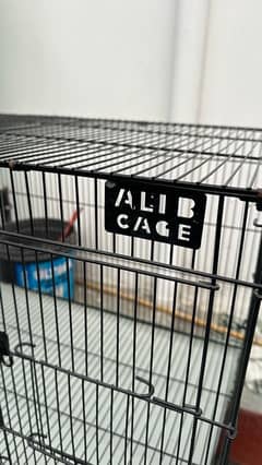 Parrot Cage for Sale