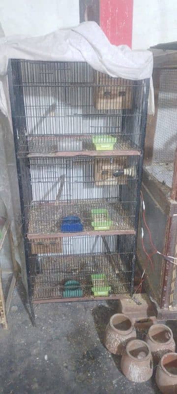 birds cage 3