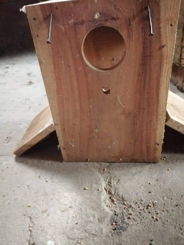 Love birds breeding boxes 3