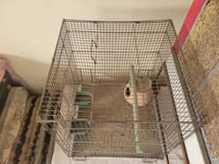 Parrot Cage 24' by 24'