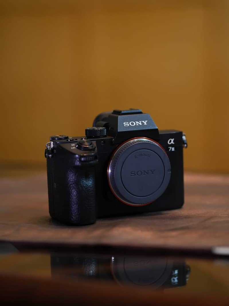 Sony A7III 1