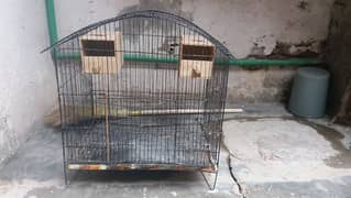 cage available ha