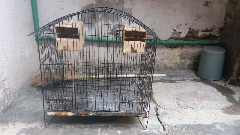 cage available ha 0