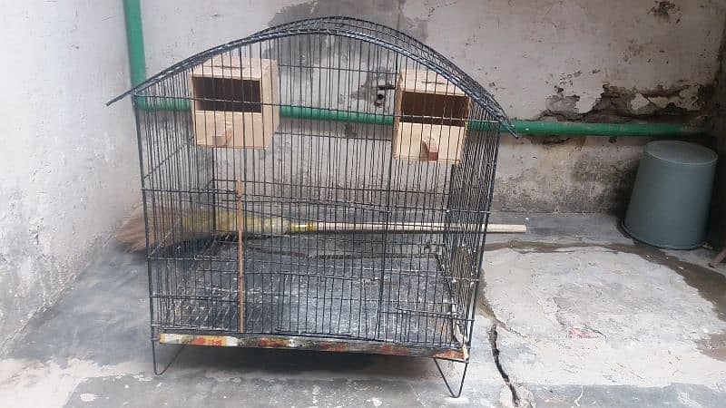 cage available ha 1