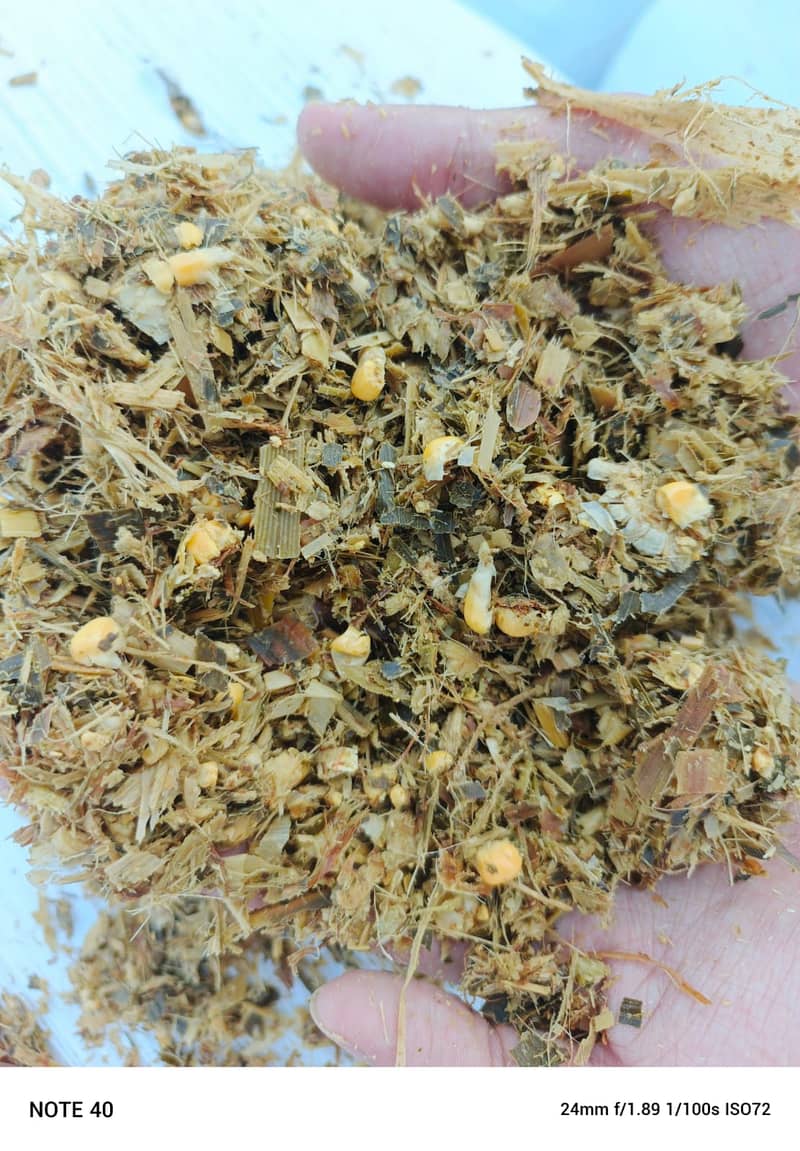 Corn Silage/Maki Silage/Animal Feeds 3