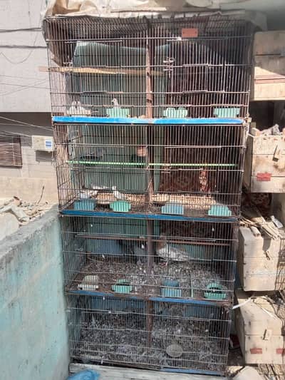 8 portions cage