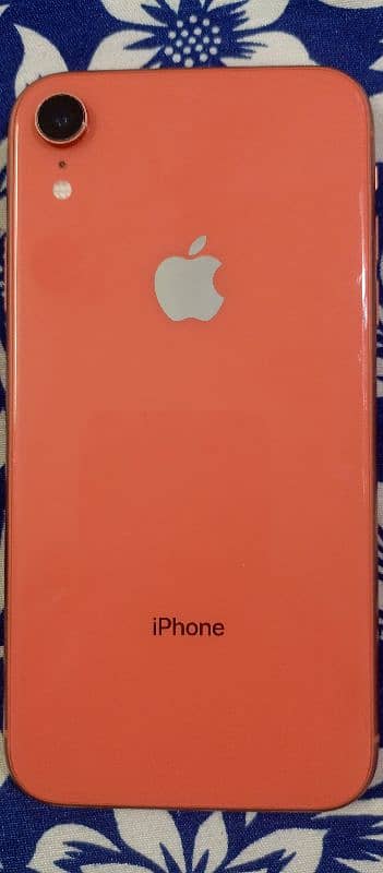 iphone xr pta approved condition 10 by 10 Face id true tone all ok 0