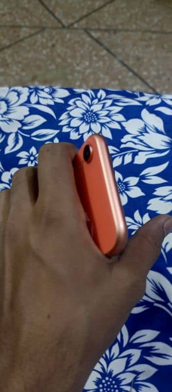 iphone xr pta approved condition 10 by 10 Face id true tone all ok 3