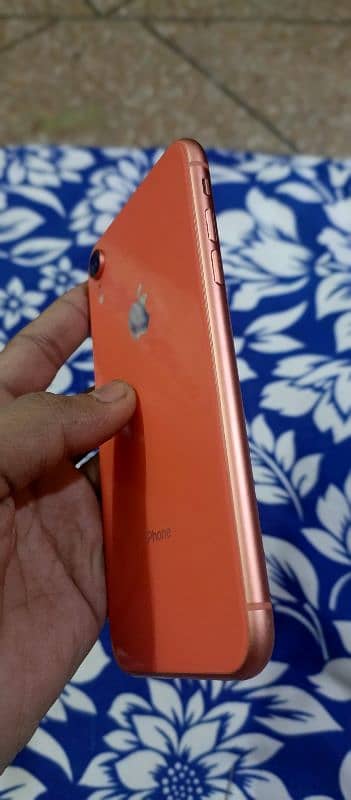 iphone xr pta approved condition 10 by 10 Face id true tone all ok 4