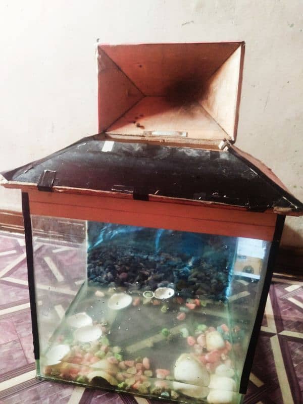 fish aquarium in good condition 1