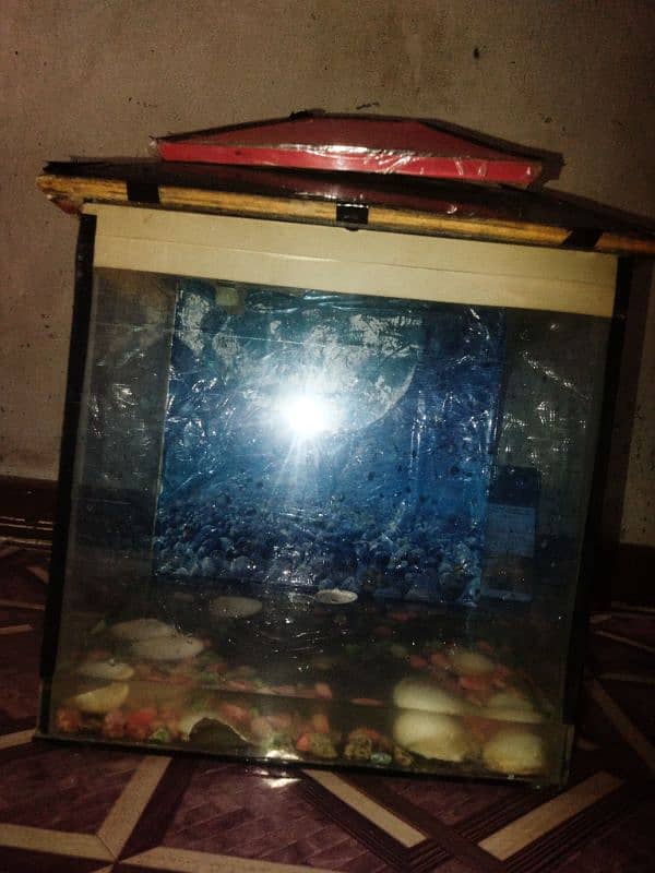 fish aquarium in good condition 4