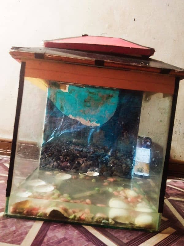 fish aquarium in good condition 5