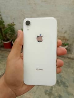 Iphone XR non pta LLA 10/10