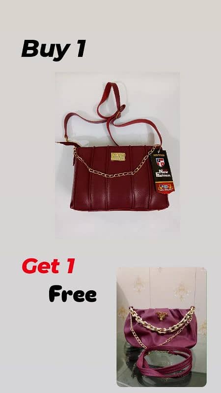 Ladies handbags and accessories 2