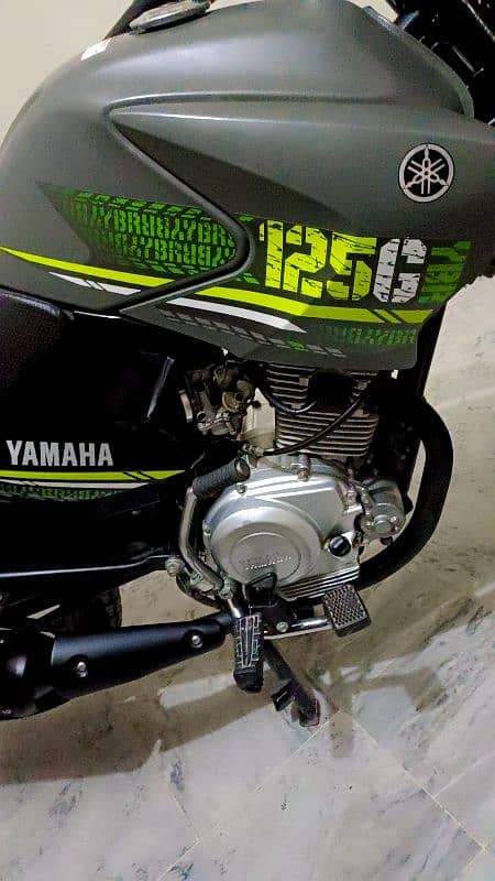 Yamaha YBR 125 G | Model  2024 | Applied For 3