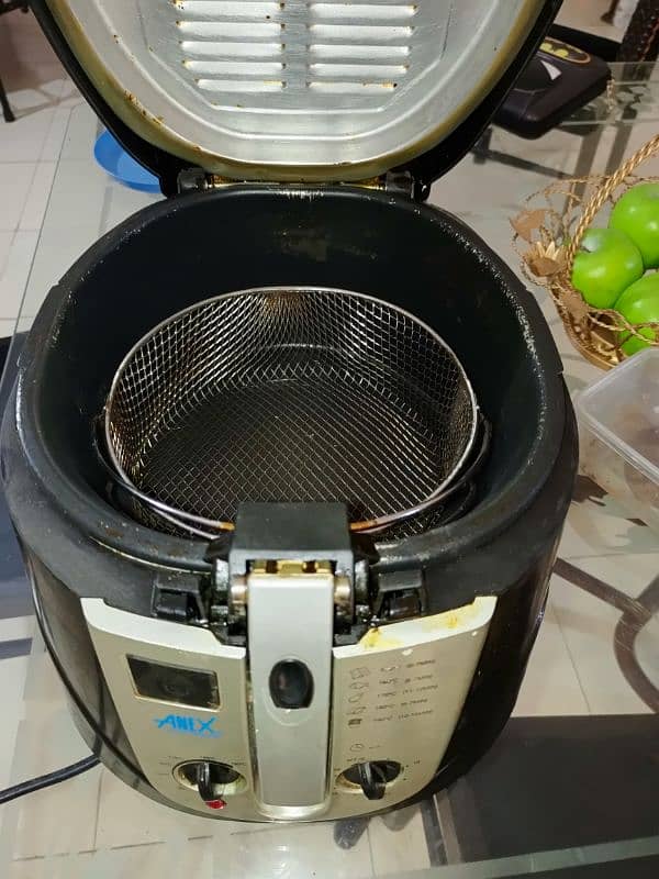 anex fryer 1