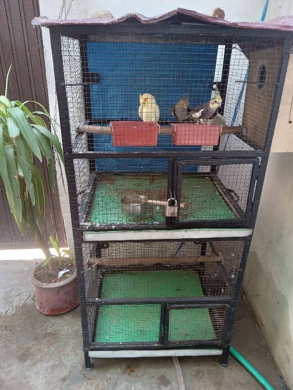 Parrots cage 0