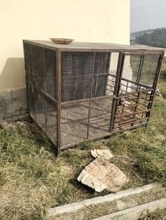 iron dog cage for sale