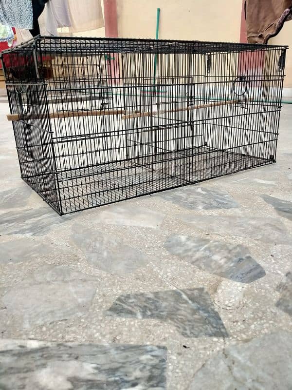 Bird's cages 2