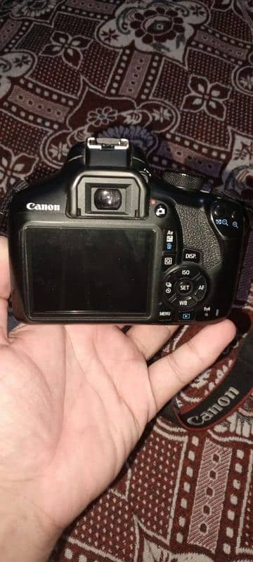 18 55 Lance Canon D1300 2