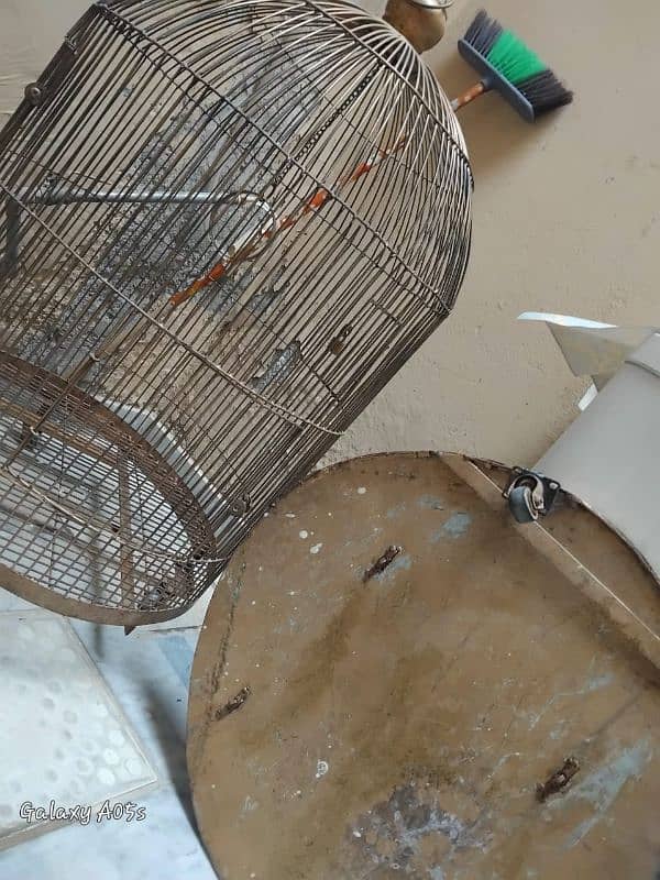 bird cage 4