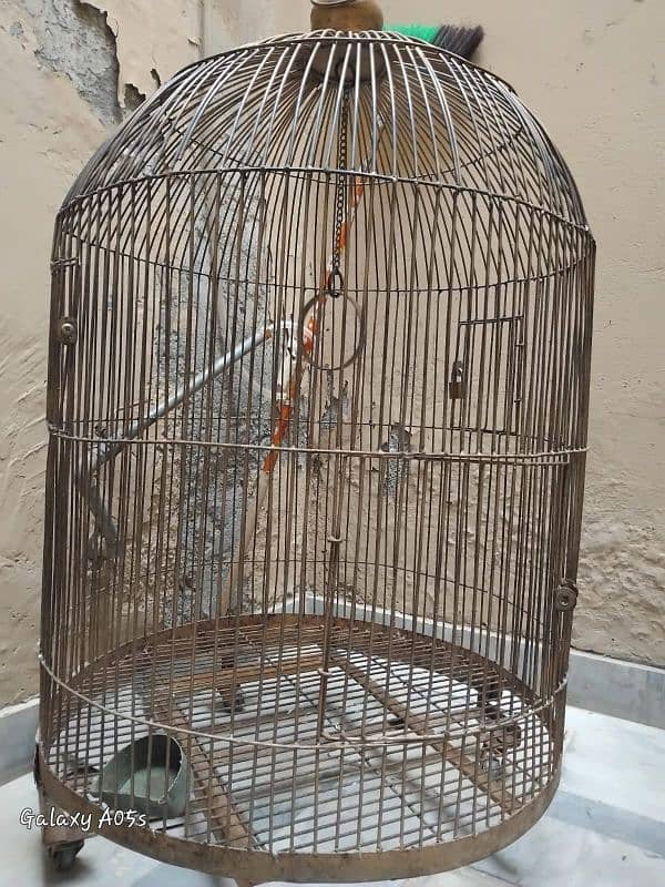 bird cage 3