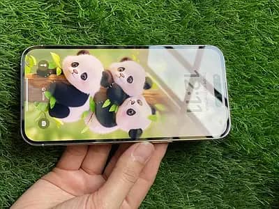 iPhone 14 Pro Max non PTA 10/10 Condition 3