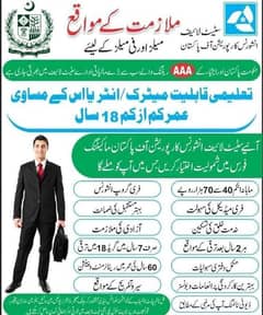 government job available