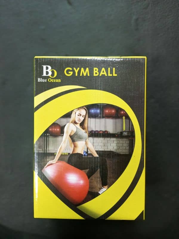 Gym Ball / Yoga Ball 1