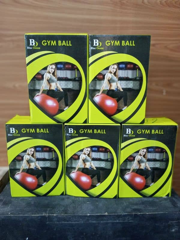 Gym Ball / Yoga Ball 4