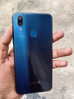 vivo